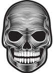 Masque squelette lumineux  adulte
