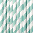 10 pailles bleues ciel en papier - Blue 1st Birthday