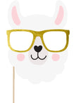 5 articles photobooth - Llama Party