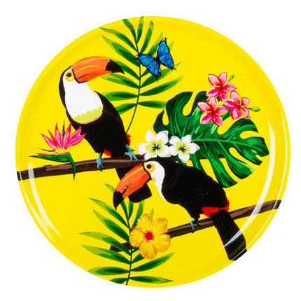 Plateau toucans - Toucan Party