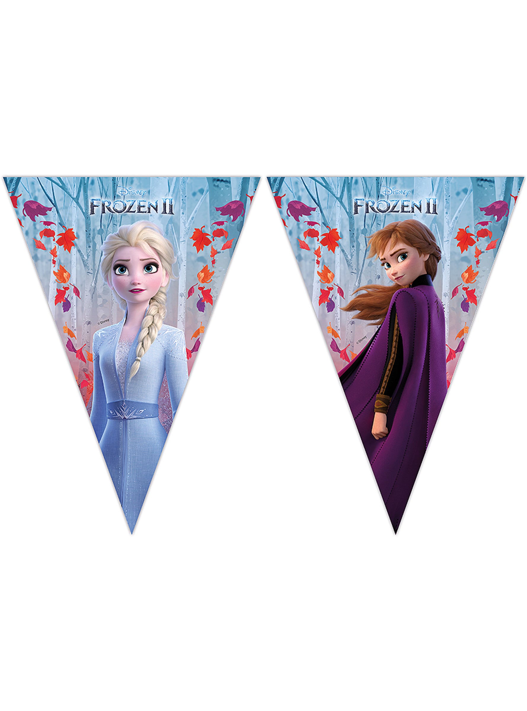 Guirlande fanions La Reine des neiges 2