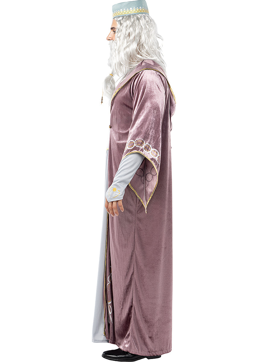 Déguisement Dumbledore Harry Potter