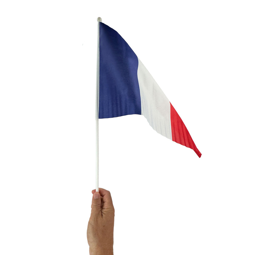 Drapeau france 30x45cm 2