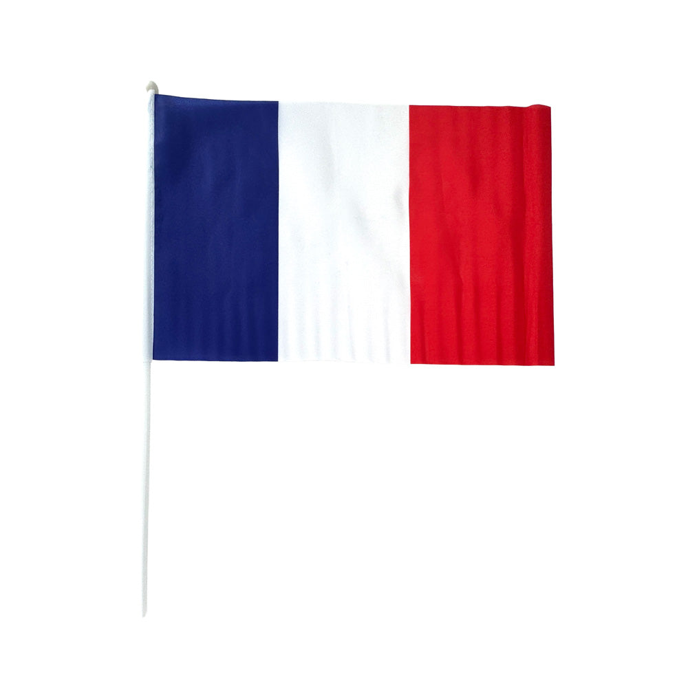 Drapeau france 30x45cm 3