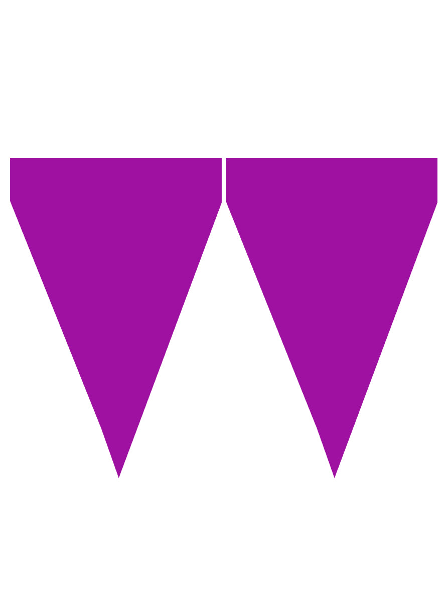 Guirlande à fanions violets - Gamme couleur unie
