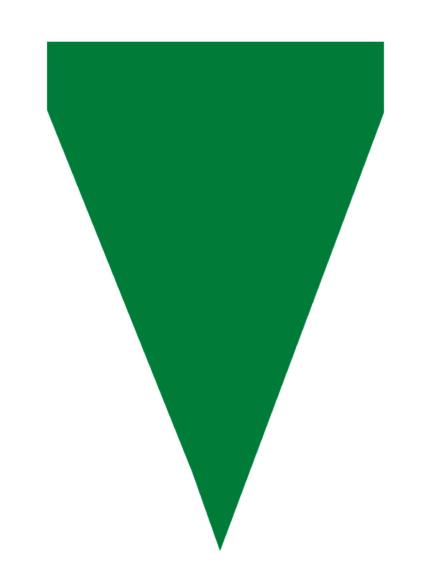 Guirlande à fanions verts - Gamme couleur unie