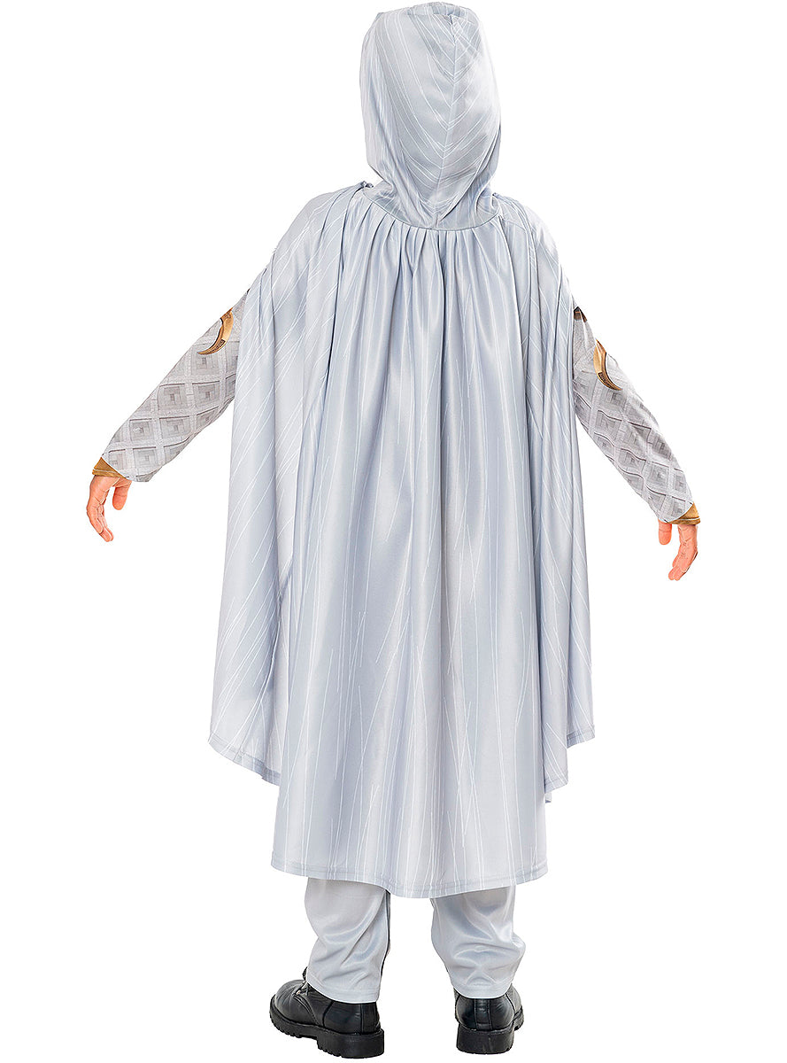 Déguisement Moon Knight Premium garçon