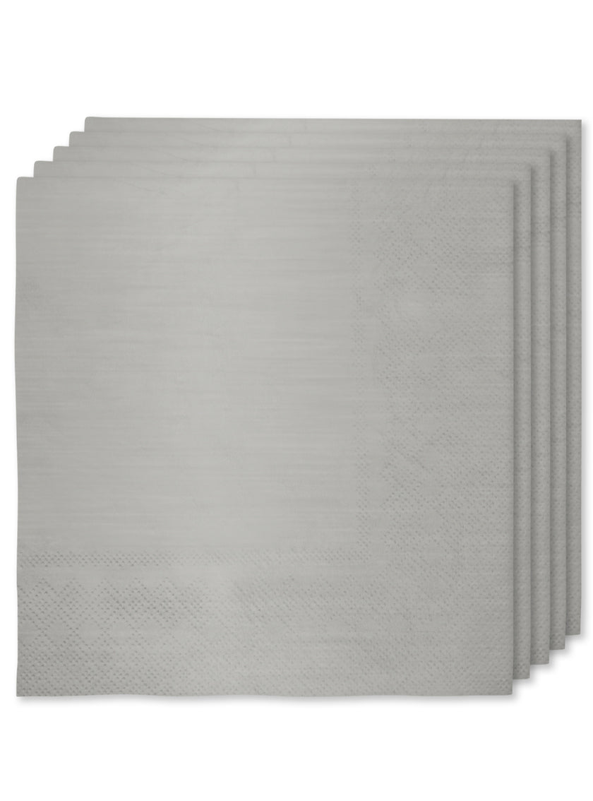 Kit décoration fête argenté Premium 8 personnes - Gamme couleur unie