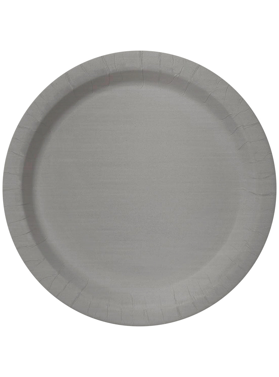 Kit décoration fête argenté Premium 8 personnes - Gamme couleur unie