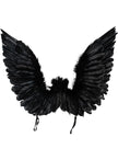 Ailes d'ange noires