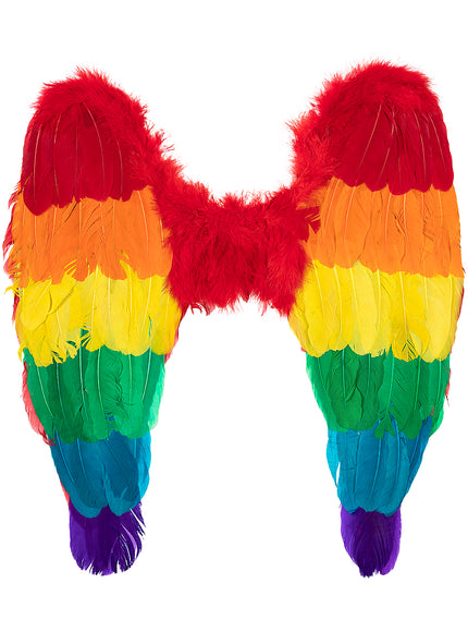 Ailes arc-en-ciel multicolores