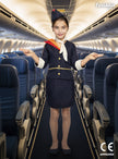 Déguisement hôtesse de l'air femme file