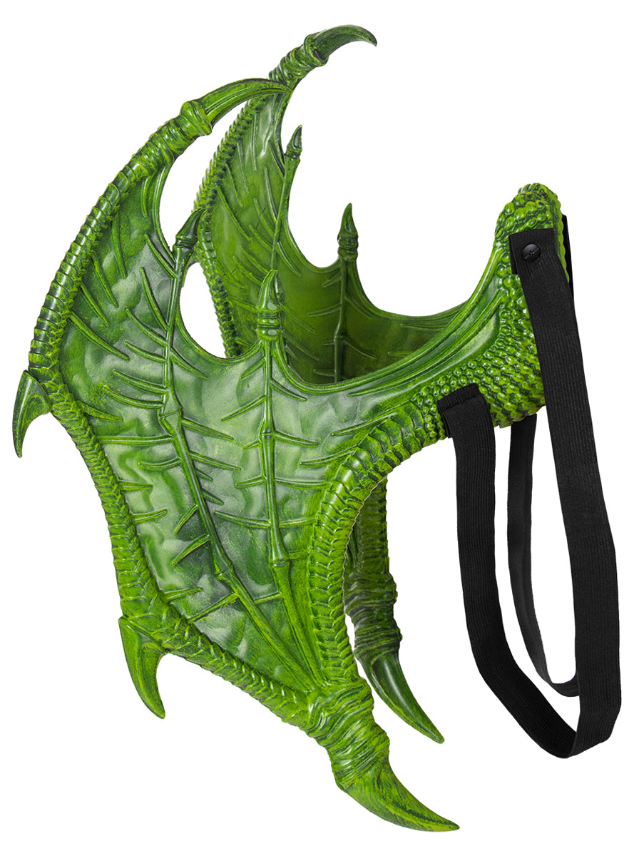 Kit dragon garçon