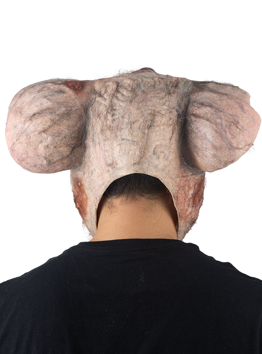 Masque de rat de laboratoire