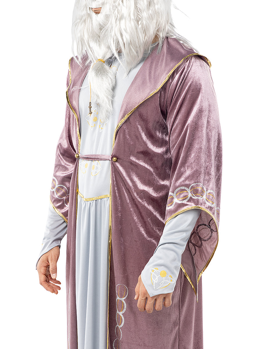 Déguisement Dumbledore Harry Potter taille grande