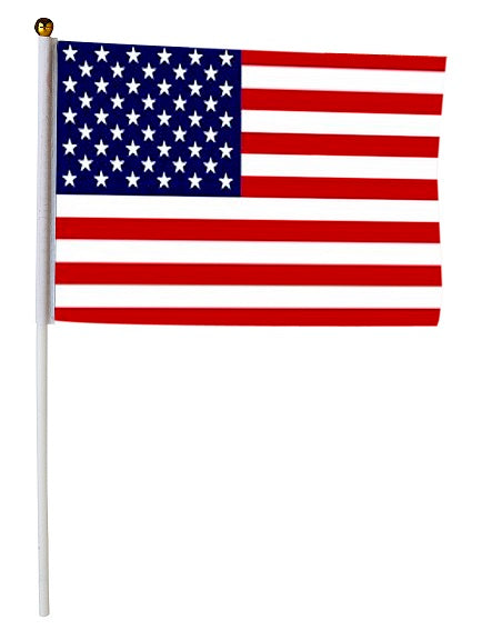 lot de 12 petits drapeaux usa avec baguette 15x21cm