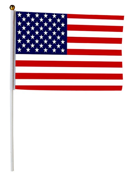 lot de 12 petits drapeaux usa avec baguette 15x21cm