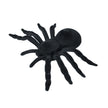 MYGALE NOIRE 20CM