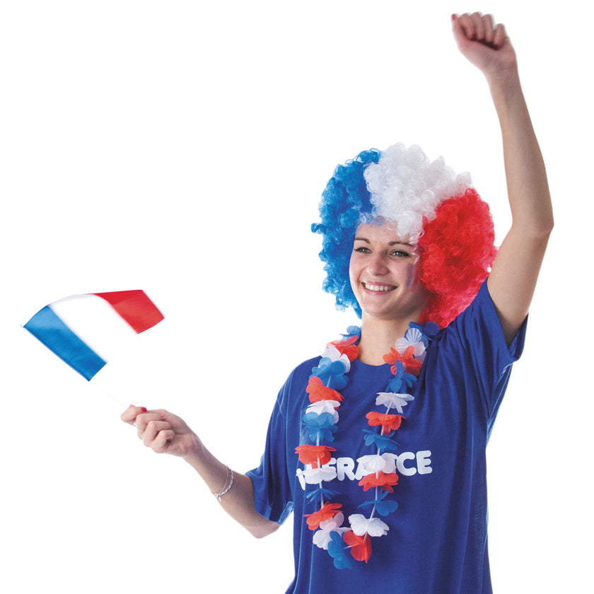 DRAPEAU FRANCE 14X21CM