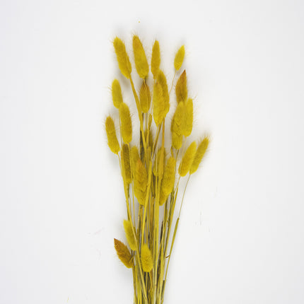 SET DE 30 BUNNY TAILS JAUNE MOUTARDE