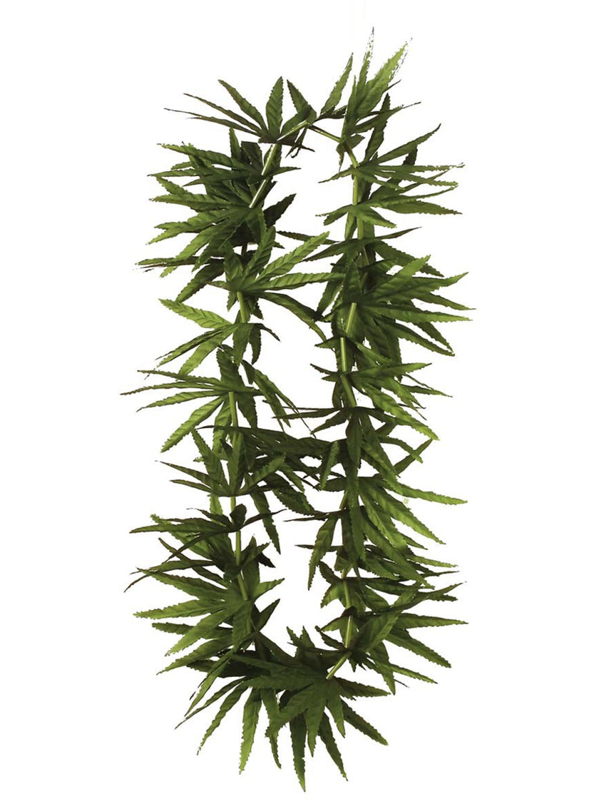 Collier marijuana