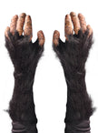 Mains Chimpanzé adulte