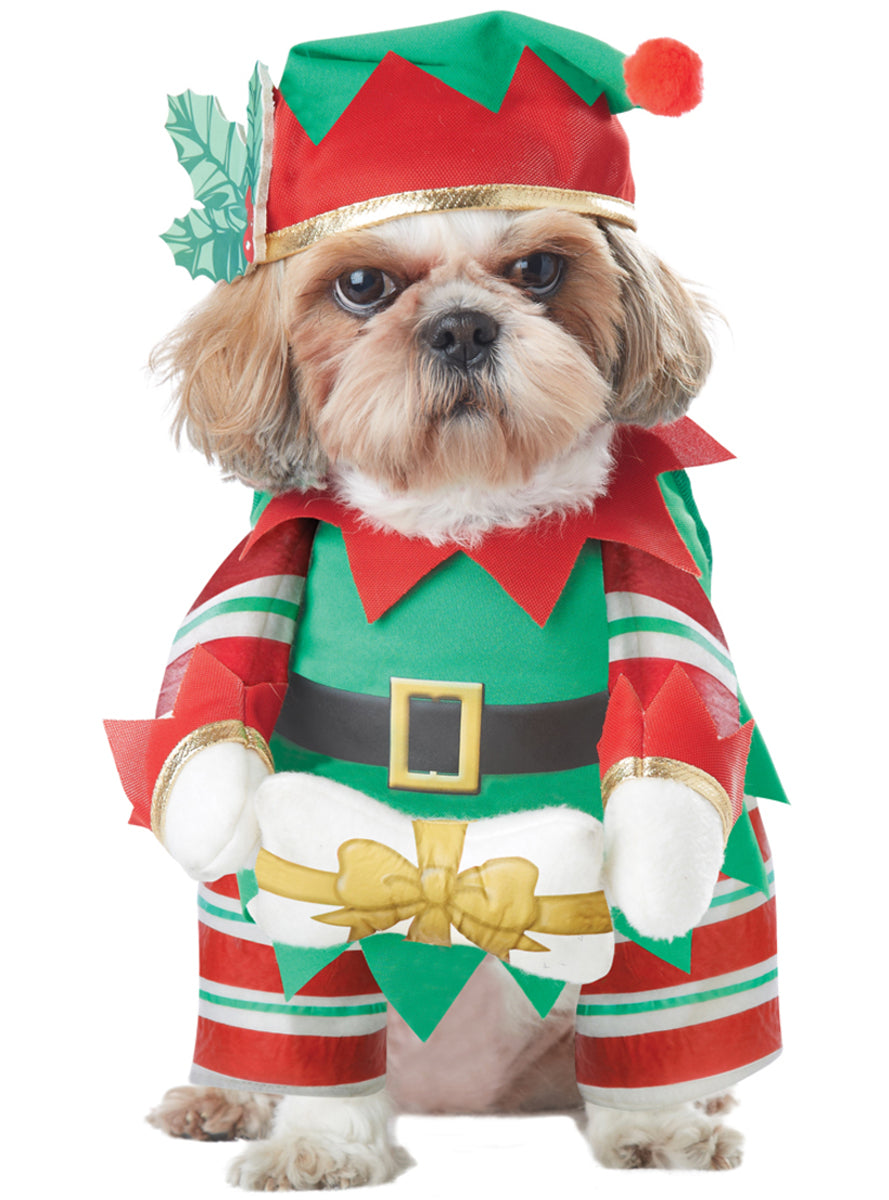 Déguisement lutin de Noël chien