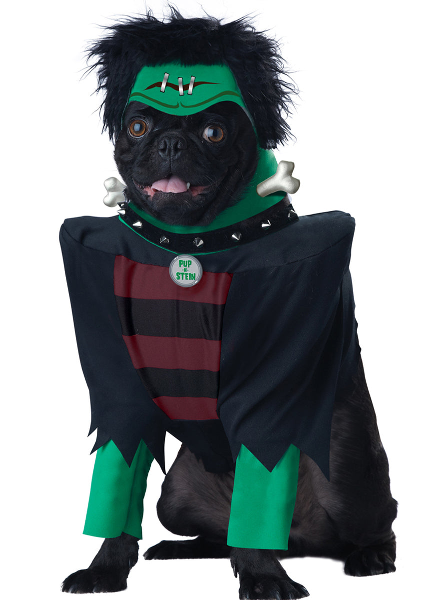 Déguisement Frankenstein pour chien