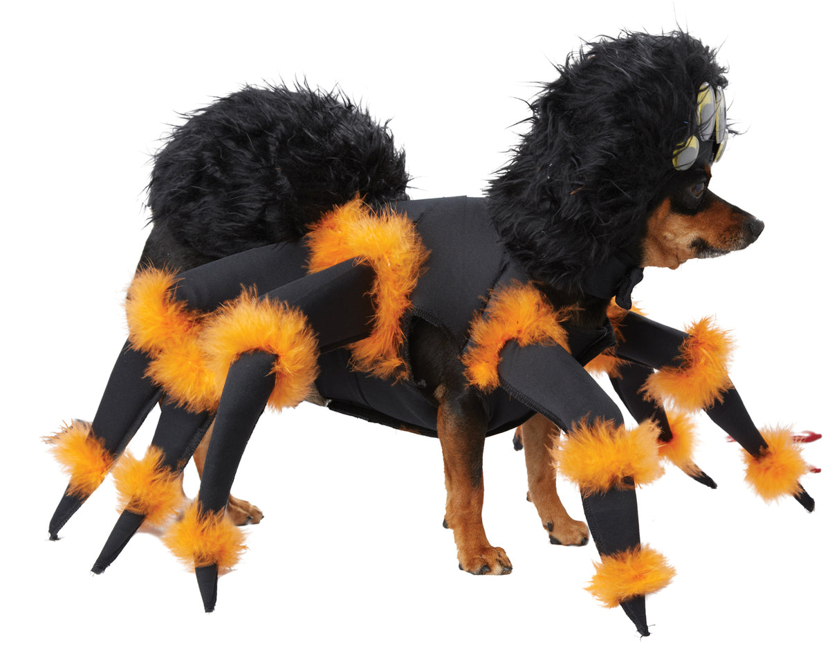 Déguisement terrifiante araignée chien