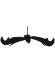 Chauve-souris noir