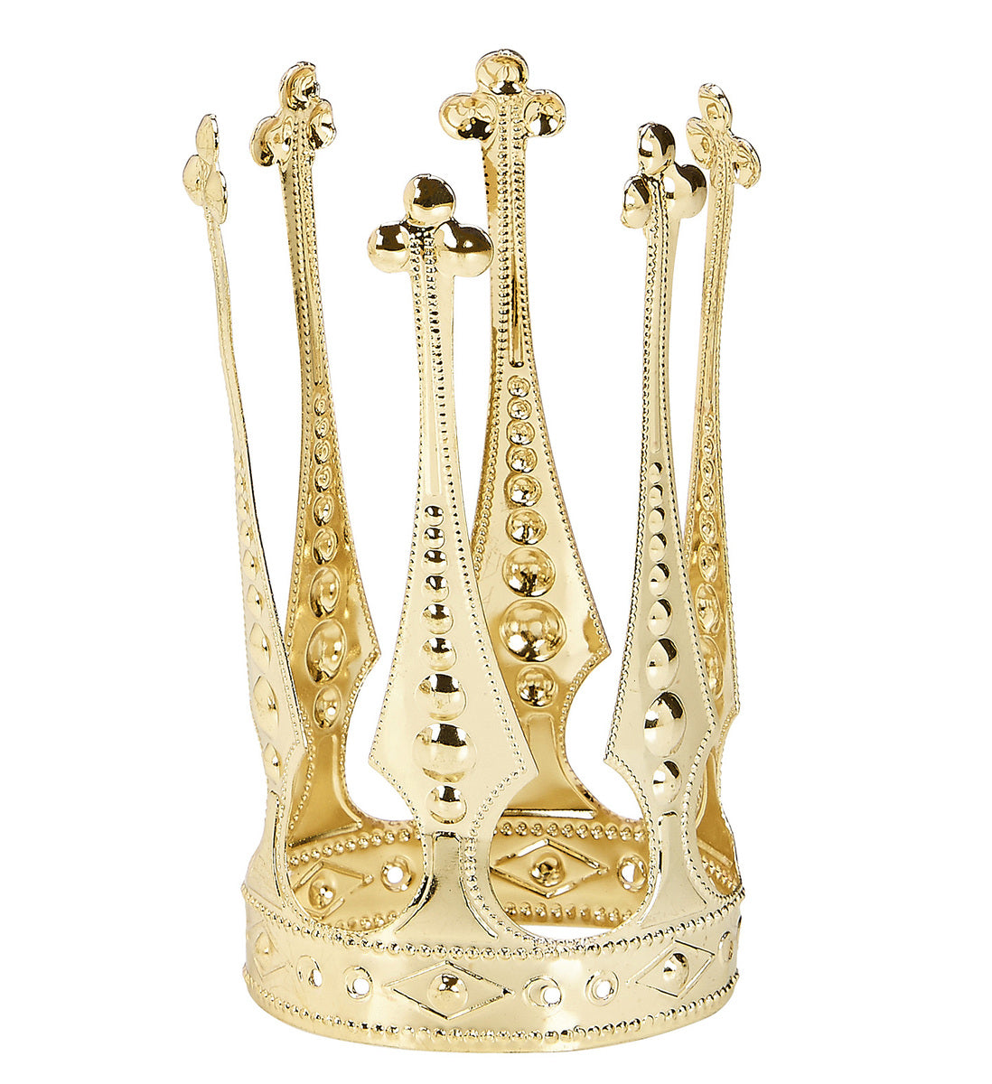 Couronne allongé de pape adulte