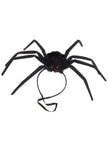 Araignée à modeler 50cm