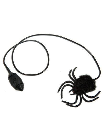Araignée poilue sauteuse