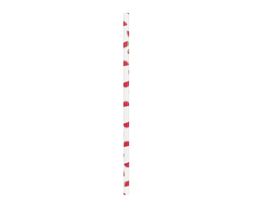 SET 10 PAILLES FRESH PASTEQUE