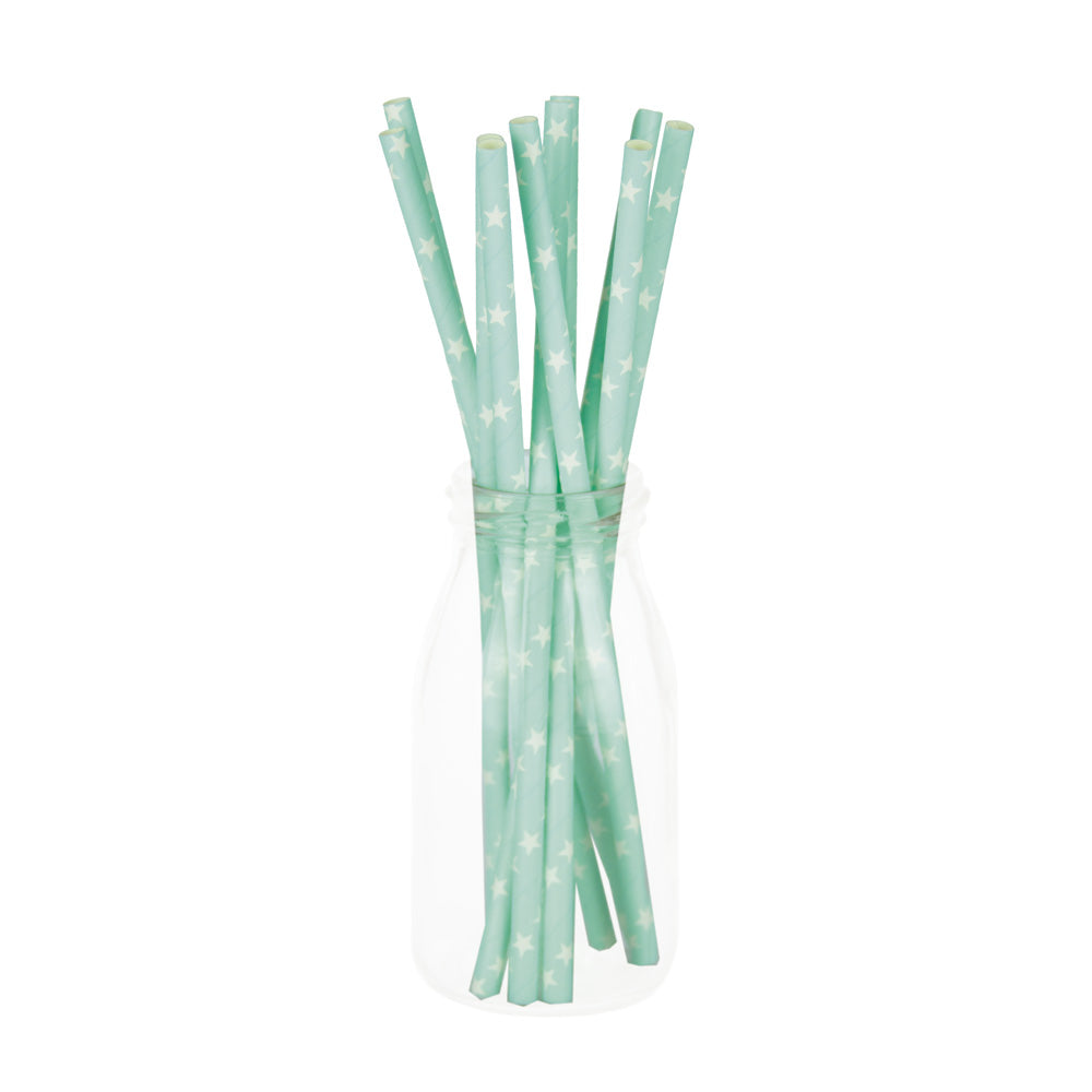 SET 10 PAILLES BLEUES ETOILES BLANCHES
