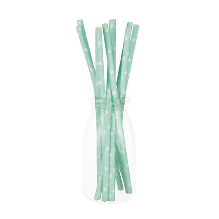SET 10 PAILLES BLEUES ETOILES BLANCHES