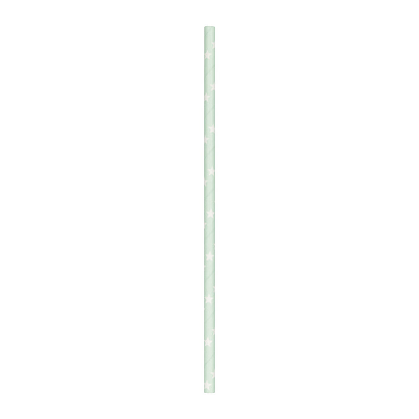 SET 10 PAILLES BLEUES ETOILES BLANCHES