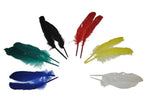 lot avec 12 plumes d''indien