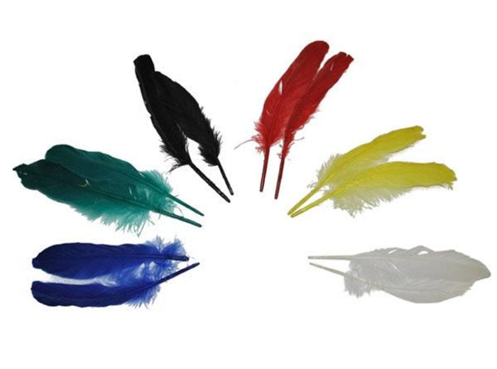 lot avec 12 plumes d''indien