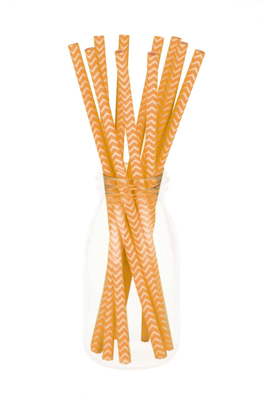 SET 10 PAILLES CHEVRONS ORANGE