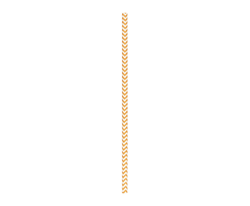 SET 10 PAILLES CHEVRONS ORANGE