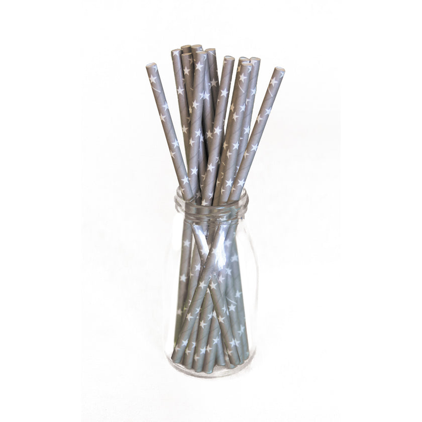 SET 10 PAILLES GRISES ETOILES BLANCHES