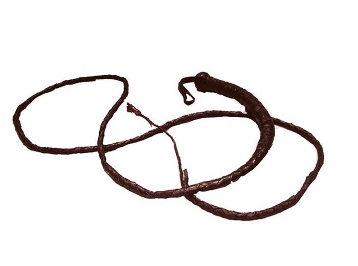 fouet en cuir brun 1.8m