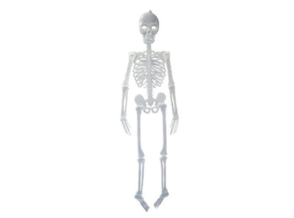 squelette phosphorescent 1m50