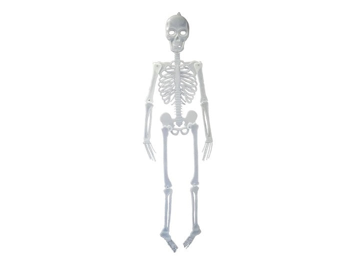 squelette phosphorescent 1m50