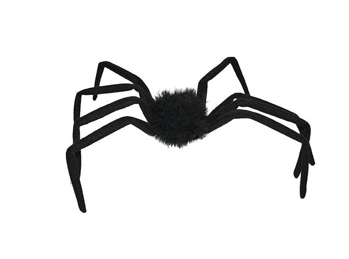 araignée 50cm