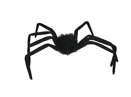 araignée 50cm