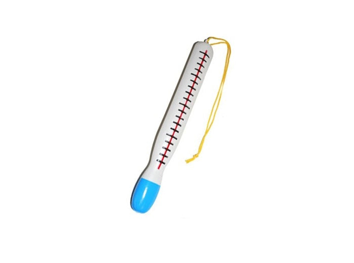 thermomètre 30cm