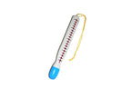 thermomètre 30cm