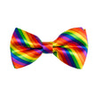 Nœud papillon graypride adulte
